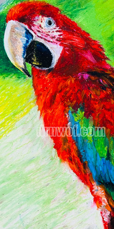 Oil - Pastel Drawing of a Parrot