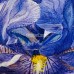 Acrylic Paintings of Iris Flowers Acrylic Paintings of Iris Flowers