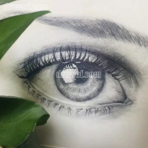 Exquisite Pencil Drawing of an Eye