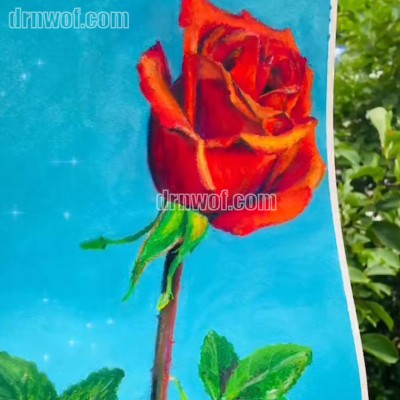Red Rose Artwork with Silky Crayons