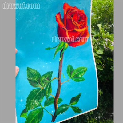 Red Rose Artwork with Silky Crayons
