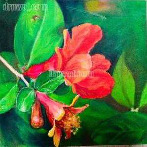 Silky Crayon Pomegranate Flower Painting