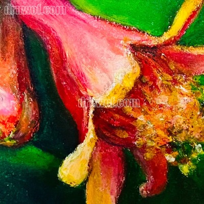 Silky Crayon Pomegranate Flower Painting